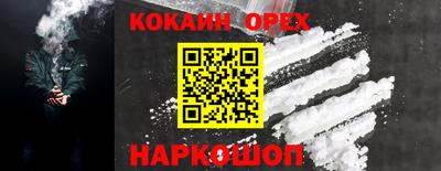 ГАЛЛЮЦИНОГЕННЫЕ ГРИБЫ Кингисепп
