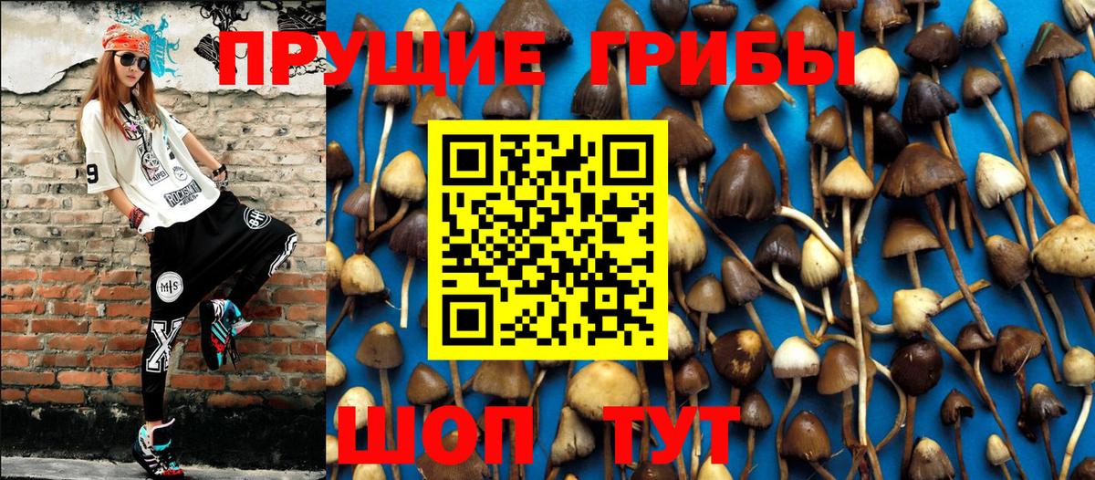 Юрга  Галлюциногенные грибы Magic Shrooms  Вход с VPN 