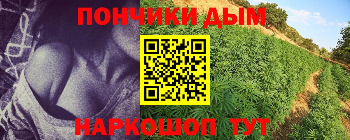 Бошки Шишки конопля  Вход с VPN  Юрга  Каннабис сатива 